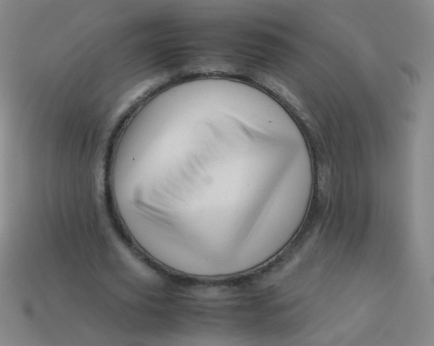 X0000113540629200910091244