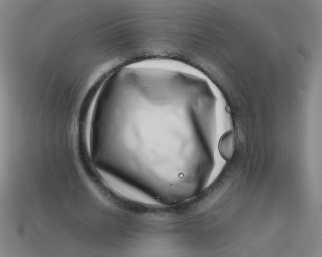 X0000113540630200910091244