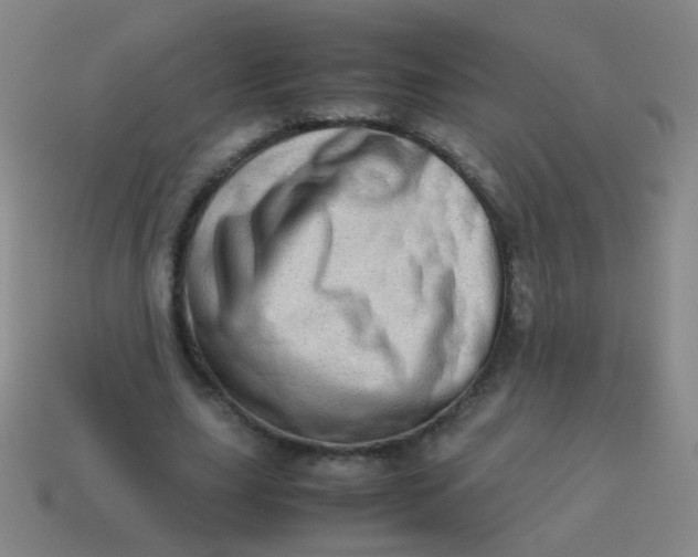 X0000113540631200910091244