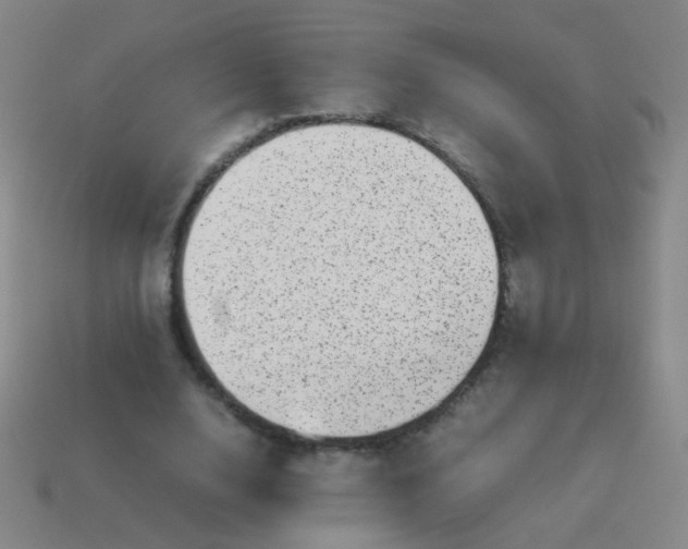 X0000113540632200910091244