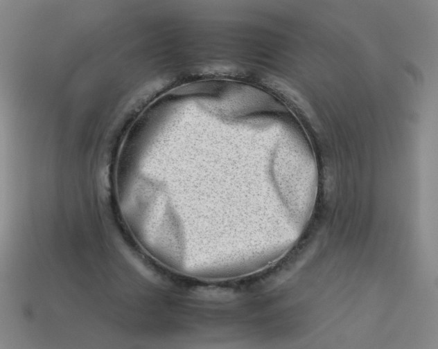 X0000113540633200910091244