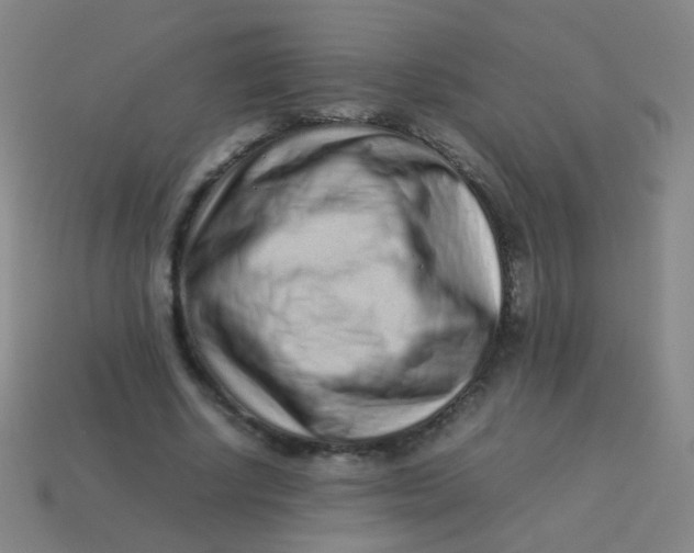 X0000113540634200910091244