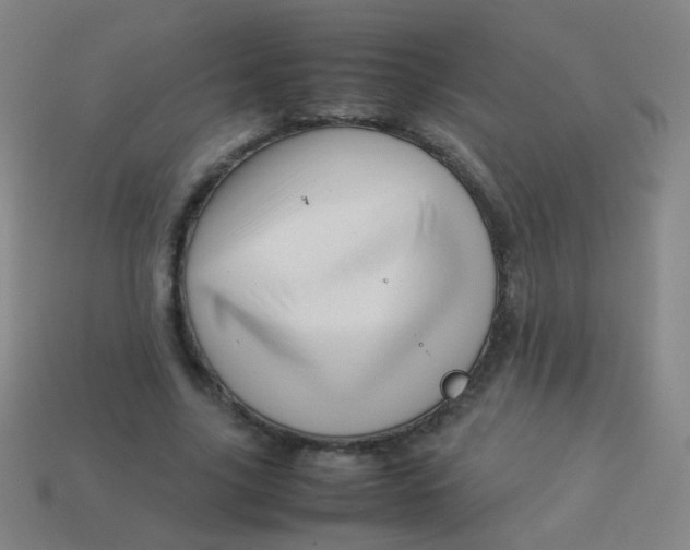 X0000113540635200910091244