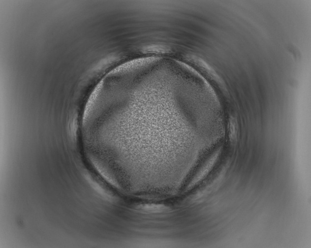 X0000113540637200910091244