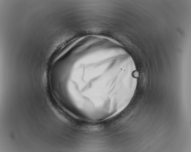 X0000113540638200910091244