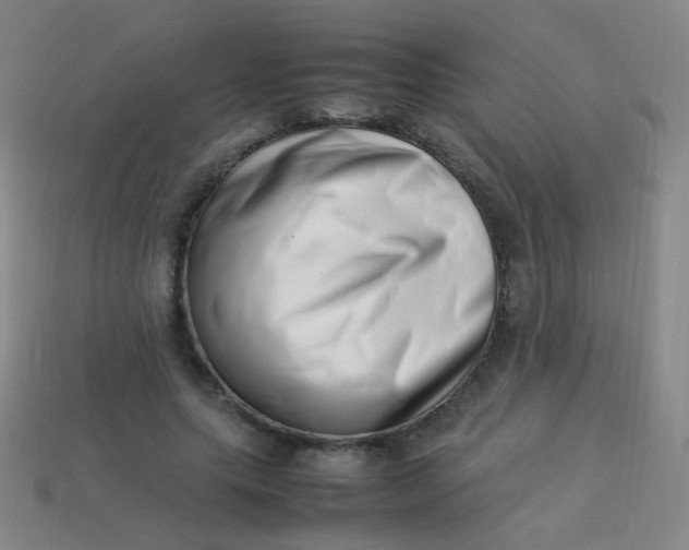 X0000113540639200910091244