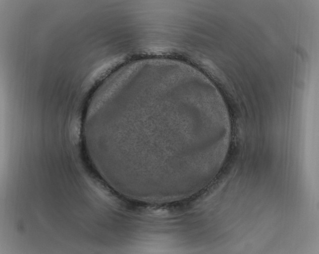 X0000113540640200910091244