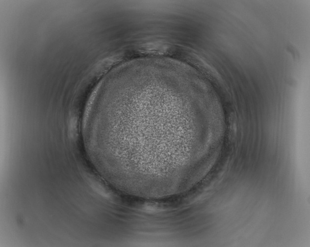 X0000113540641200910091244