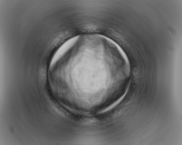 X0000113540642200910091244