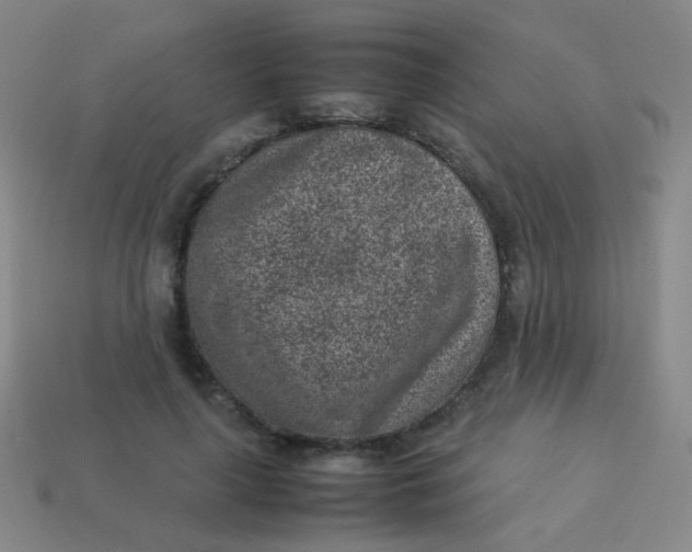 X0000113540643200910091244