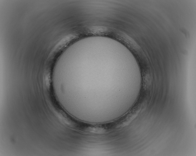 X0000113540644200910091244