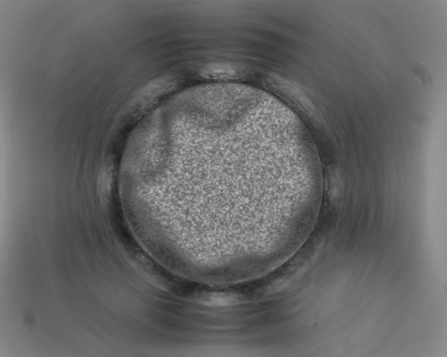 X0000113540645200910091244