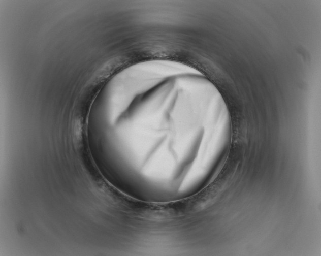 X0000113540646200910091244