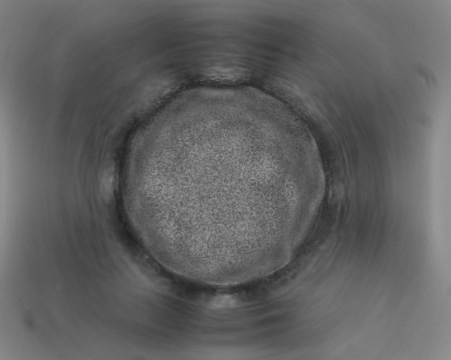 X0000113540647200910091244