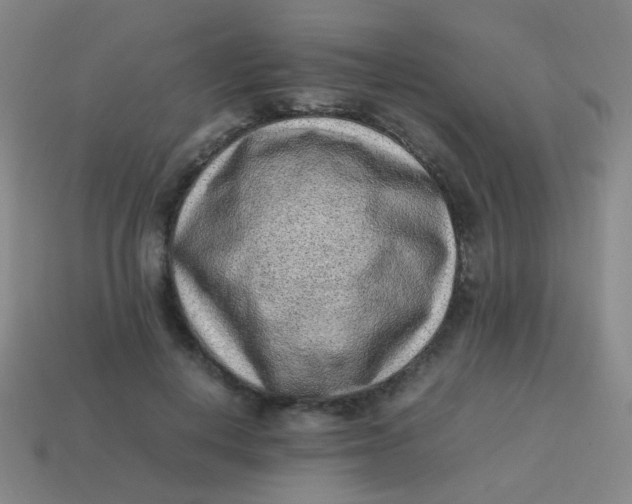 X0000113540648200910091244