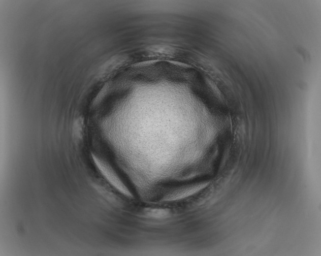 X0000113540649200910091244