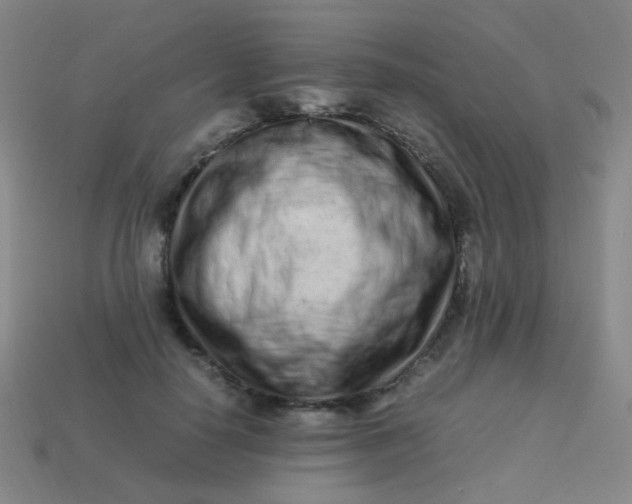 X0000113540650200910091244