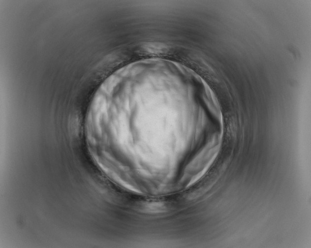 X0000113540651200910091244