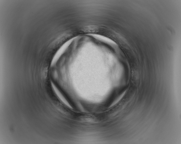 X0000113540652200910091244