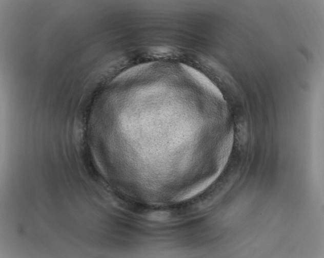 X0000113540653200910091244