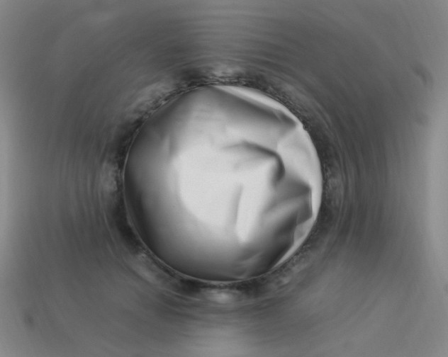 X0000113540654200910091244