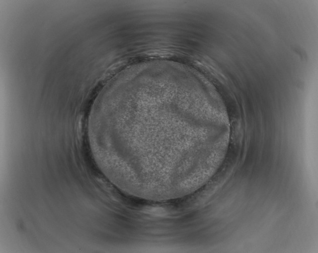 X0000113540655200910091244