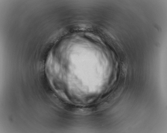 X0000113540657200910091244