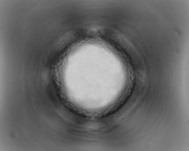 X0000113540659200910091244