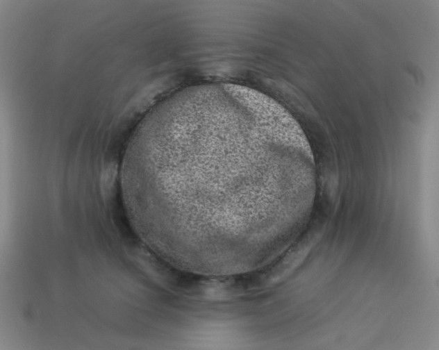 X0000113540660200910091244