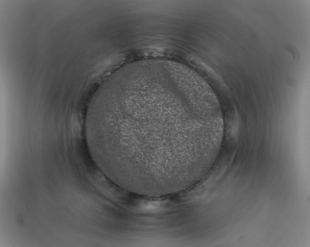 X0000113540661200910091244