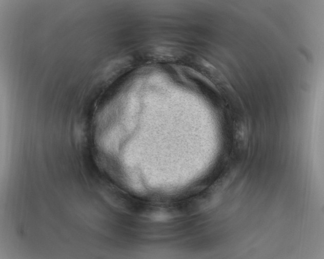 X0000113540663200910091244