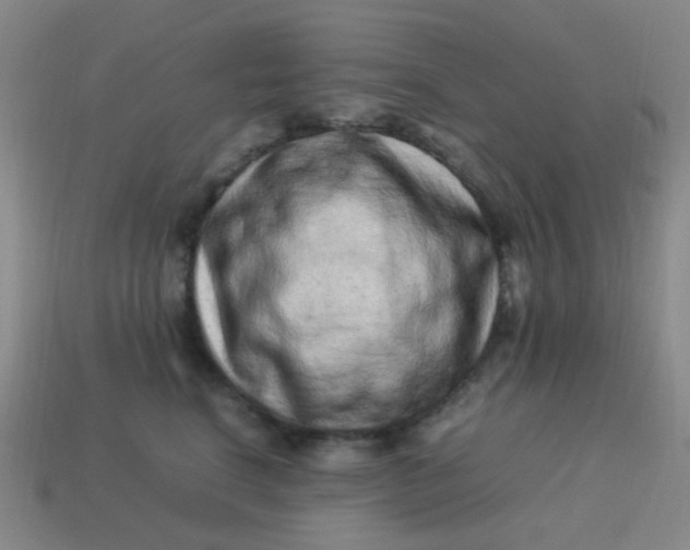 X0000113540664200910091244