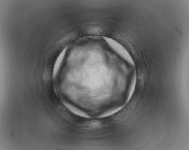 X0000113540665200910091244