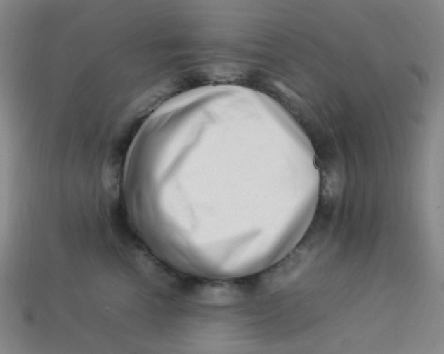 X0000113540666200910091244