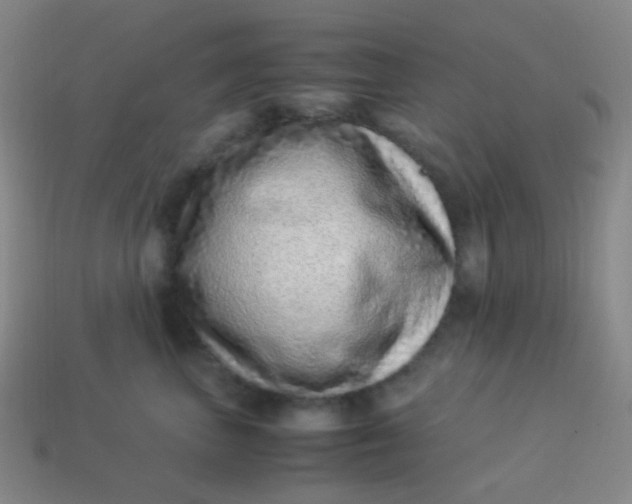 X0000113540667200910091244