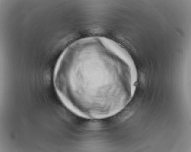 X0000113540668200910091244