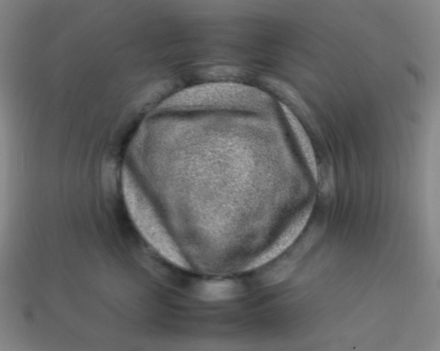 X0000113540669200910091244