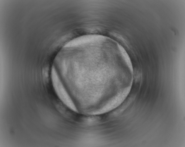 X0000113540670200910091244