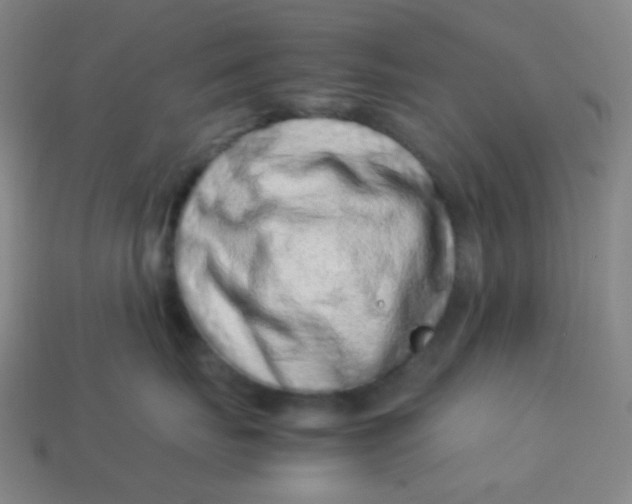 X0000113540671200910091244