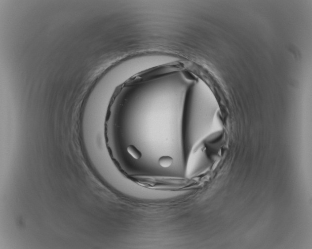 X0000113540673200910091244