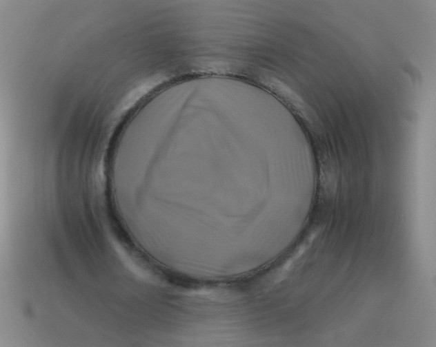 X0000113540674200910091244