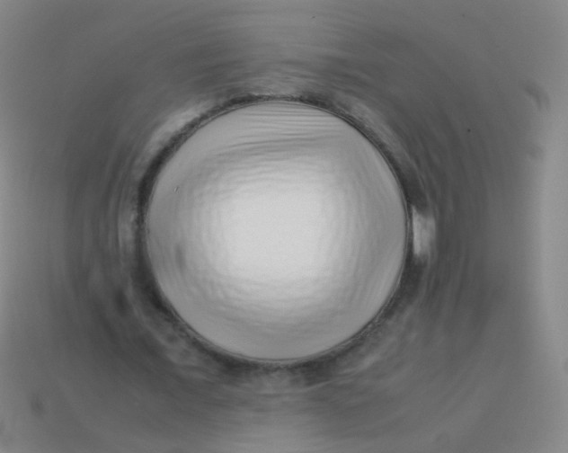 X0000113540675200910091244