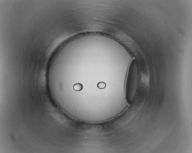 X0000113540676200910091244