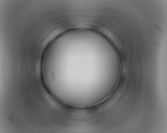 X0000113540677200910091244