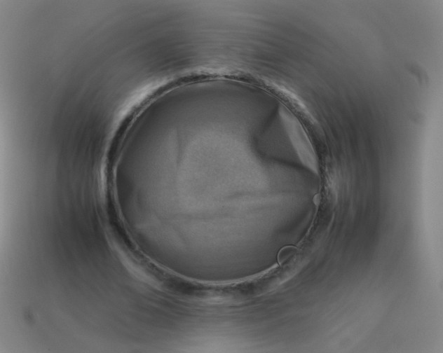 X0000113540678200910091244