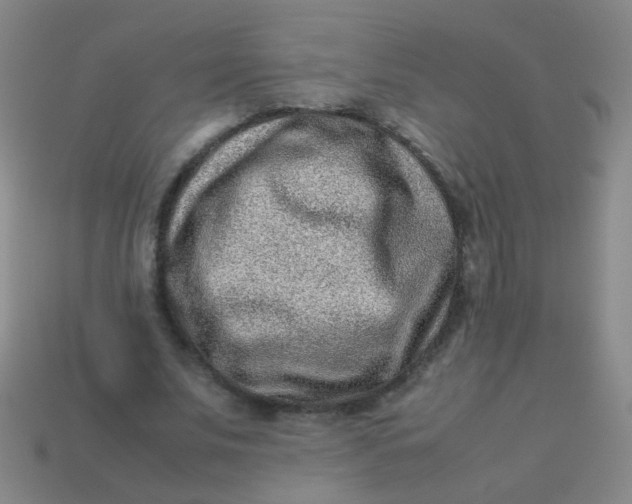 X0000113540679200910091244