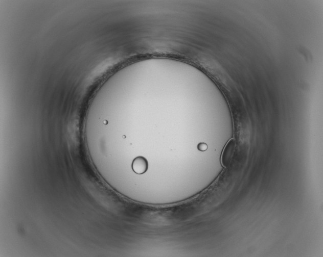 X0000113540680200910091244