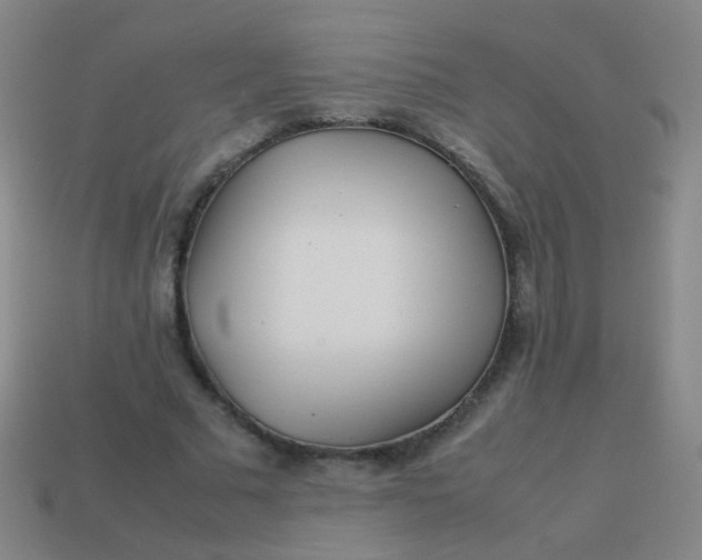 X0000113540681200910091244