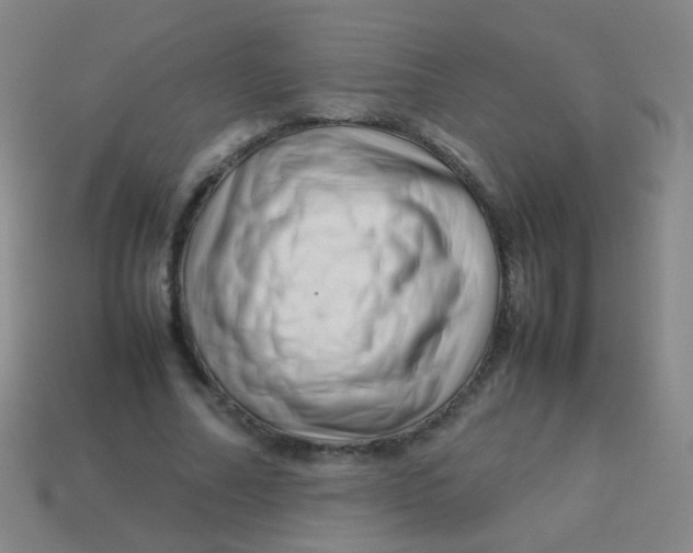 X0000113540682200910091244