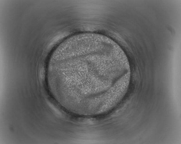 X0000113540683200910091244